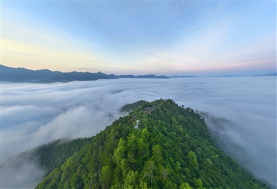 青山隱霧 翠意朦朧